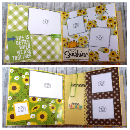 album foto girasoli